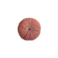 Sweet Cushion by Le Monde Sauvage