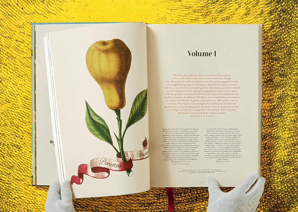 J. C. Volkamer - The Book of Citrus Fruits