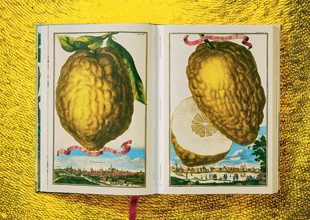 J. C. Volkamer - The Book of Citrus Fruits