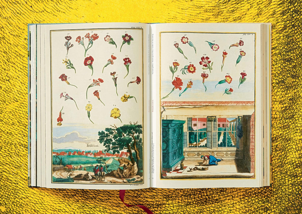 J. C. Volkamer - The Book of Citrus Fruits