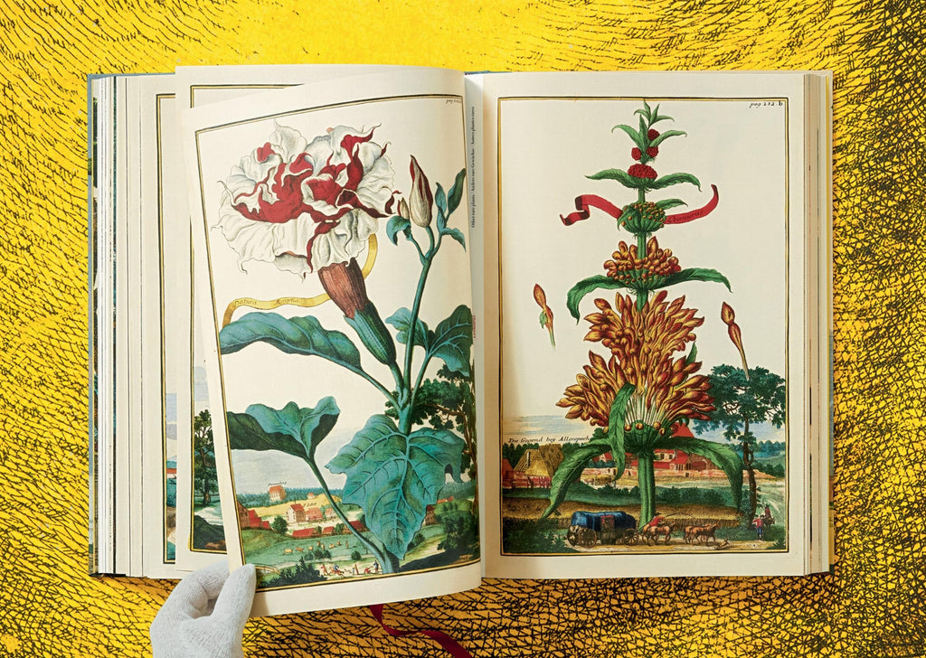 J. C. Volkamer - The Book of Citrus Fruits