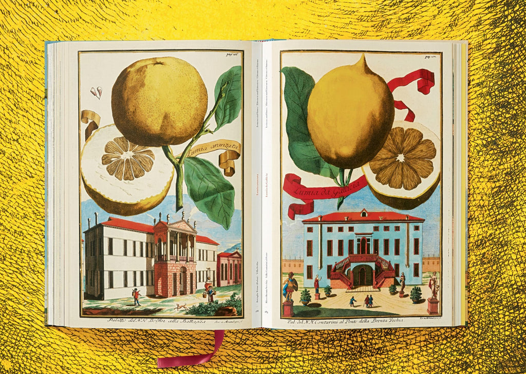 J. C. Volkamer - The Book of Citrus Fruits