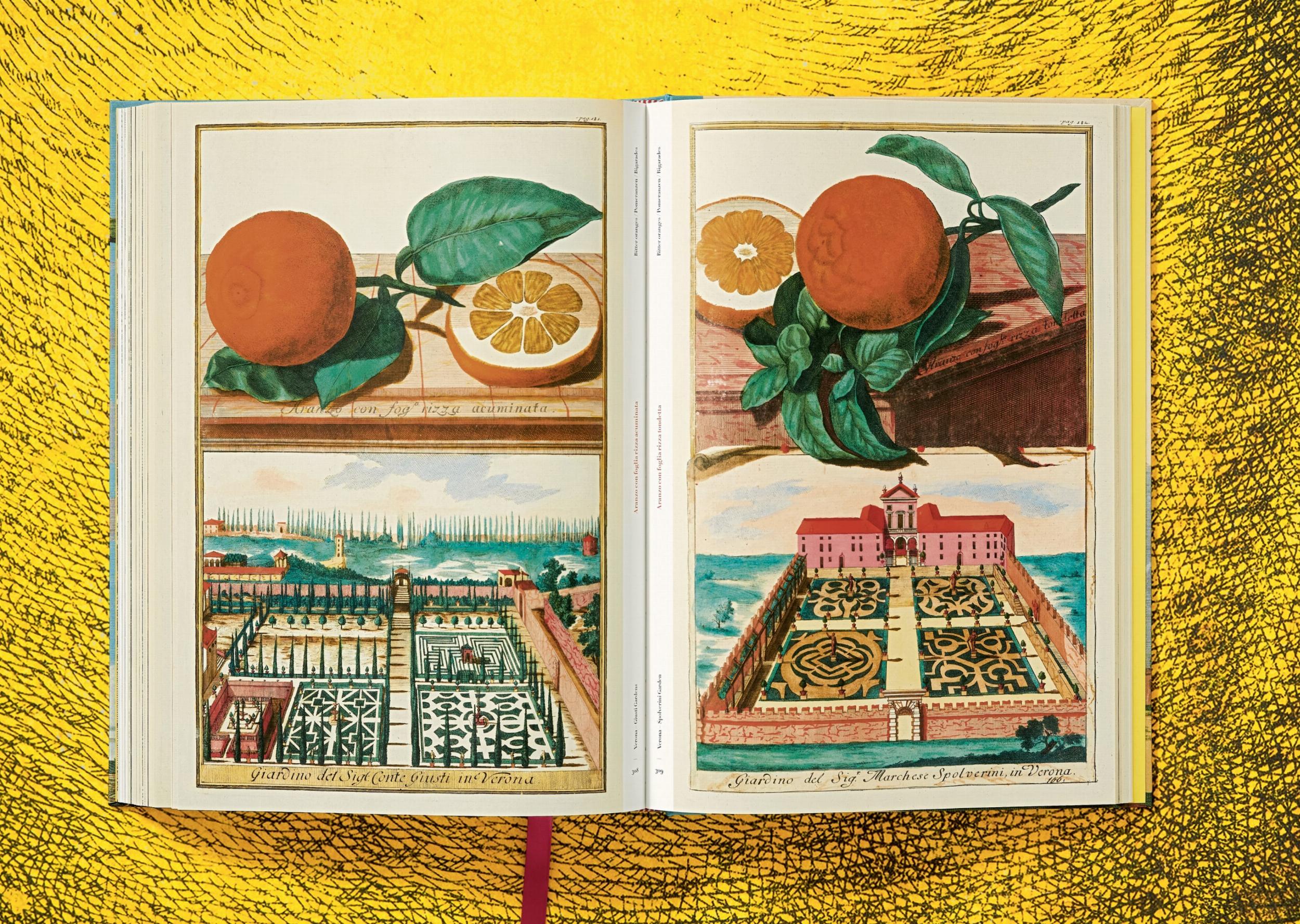 J. C. Volkamer - The Book of Citrus Fruits
