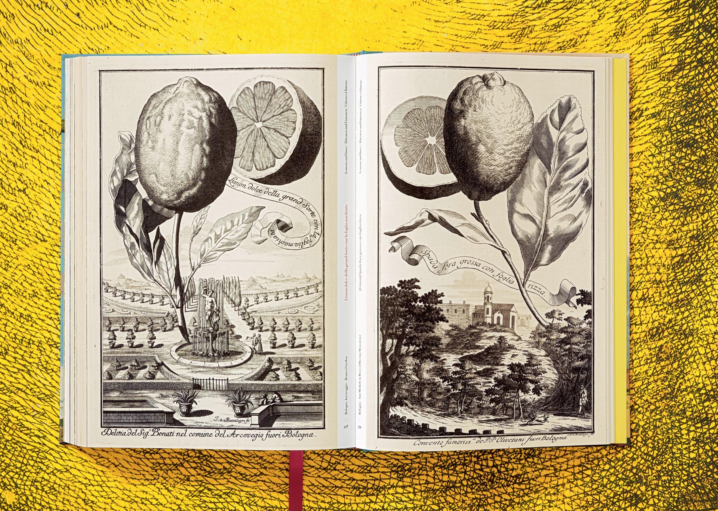 J. C. Volkamer - The Book of Citrus Fruits