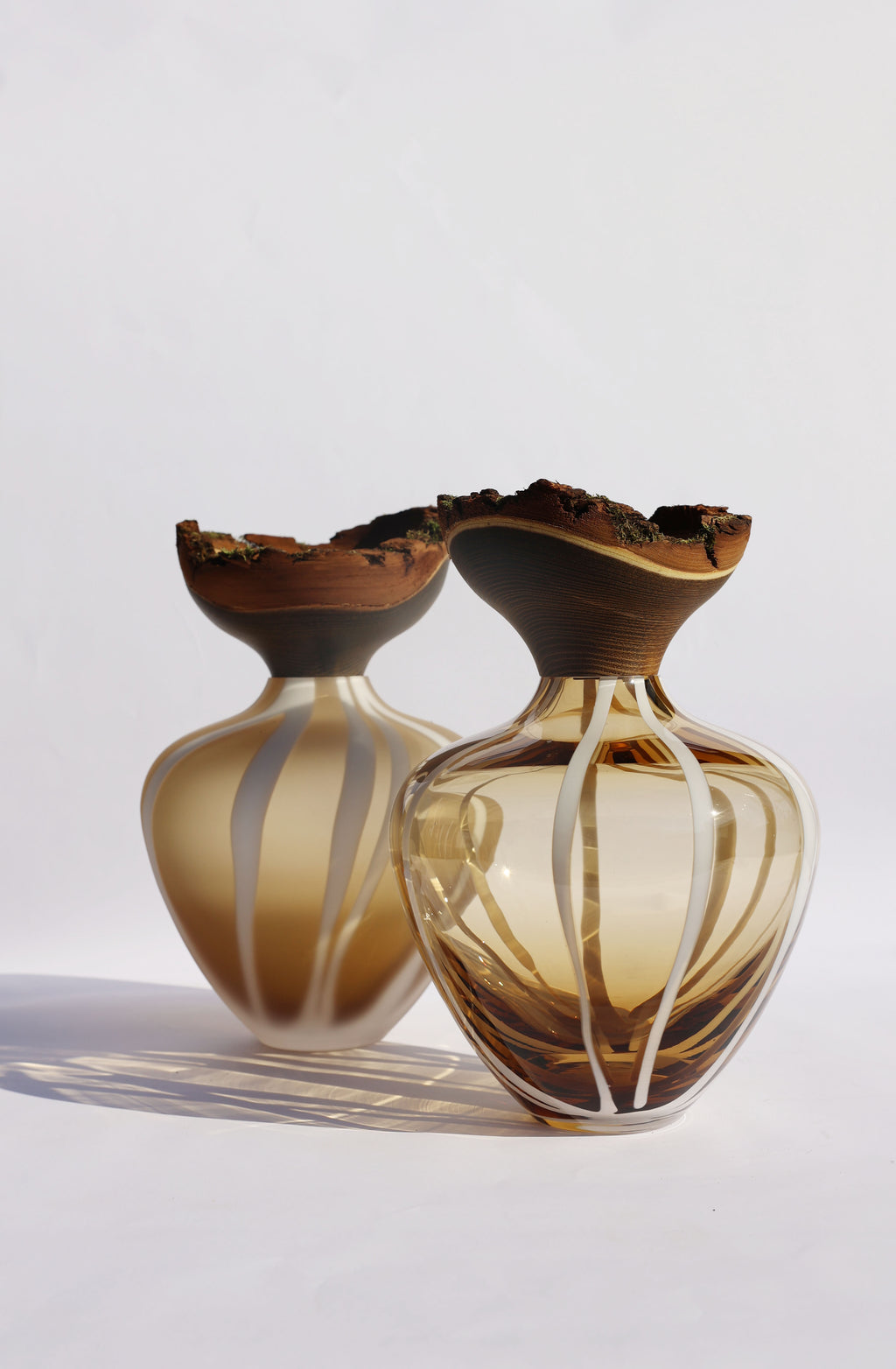 Baby Bloom by Utopia & Utility
