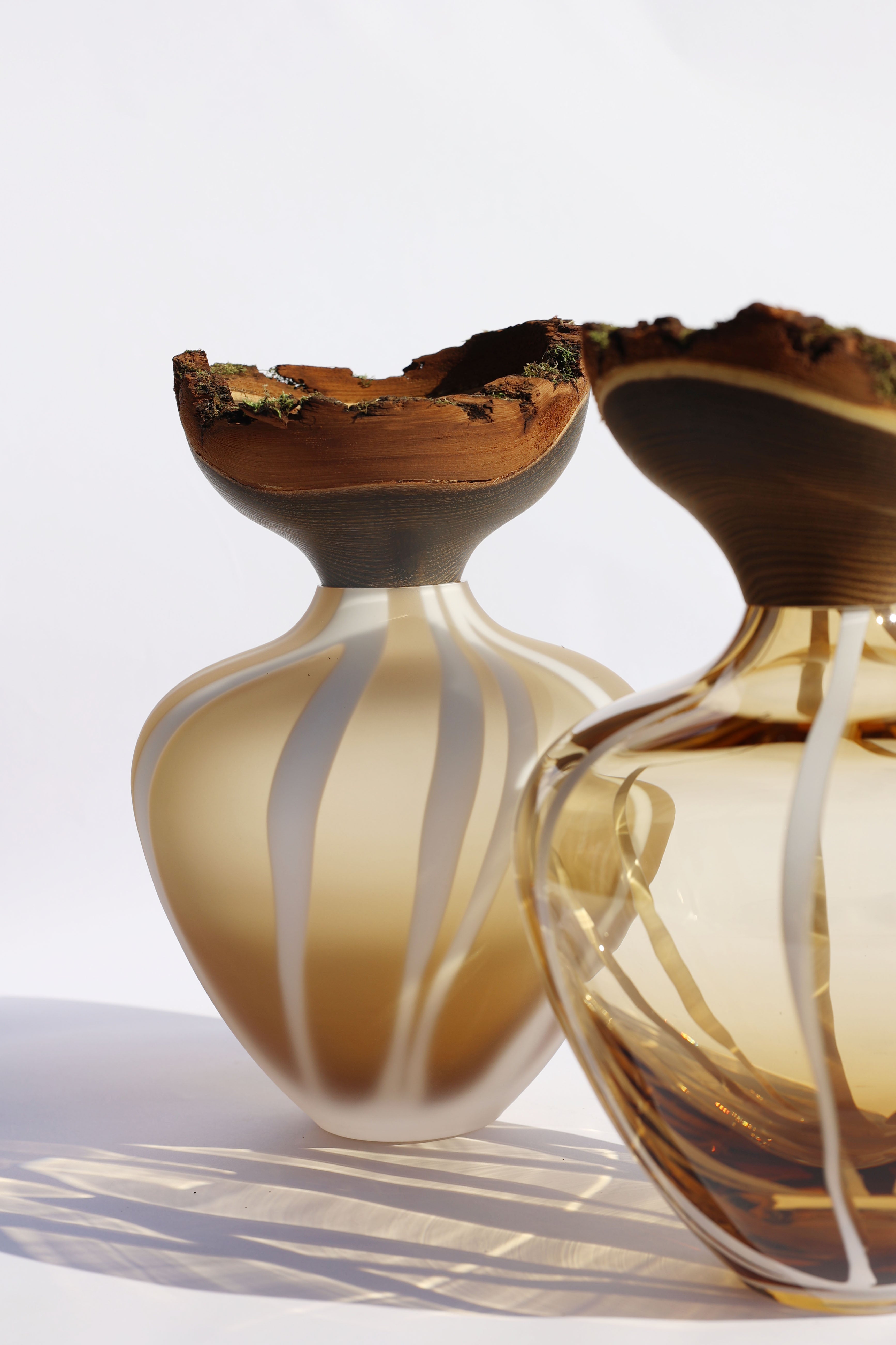 Baby Bloom by Utopia & Utility