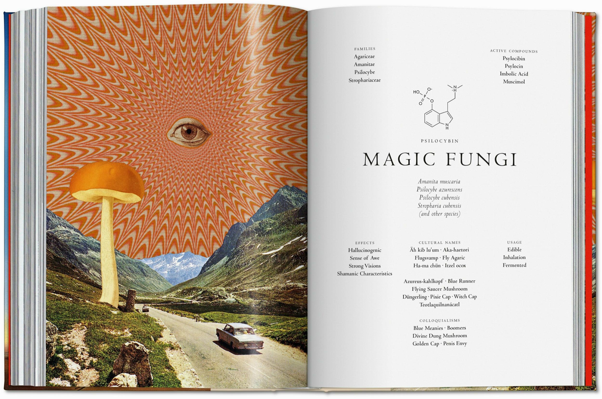 Plant Magick - The Library of Esoterica