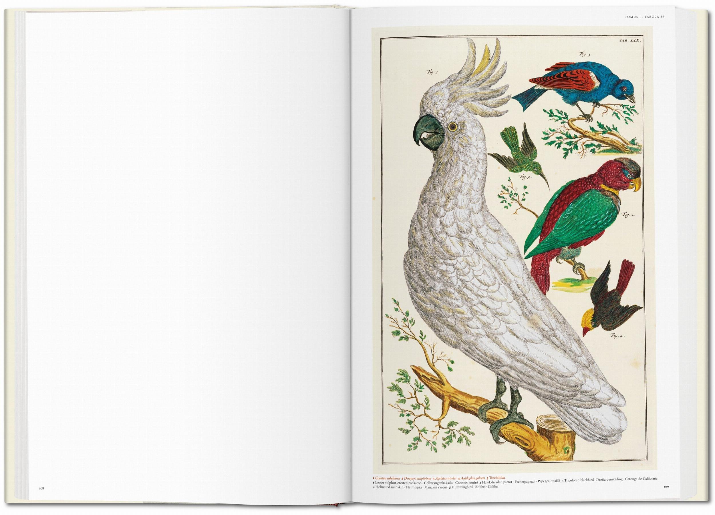 Seba - Cabinet of Natural Curiosities