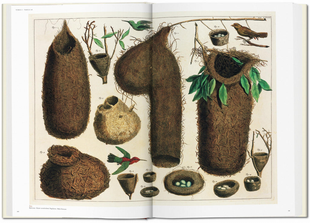 Cabinet of Natural Curiosities