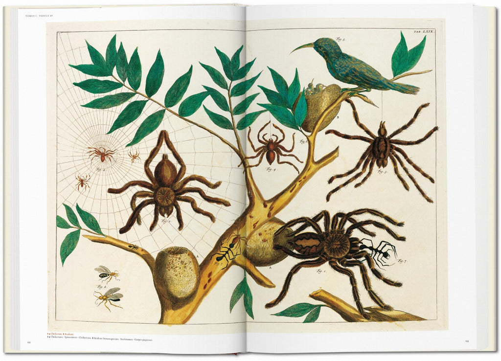 Cabinet of Natural Curiosities