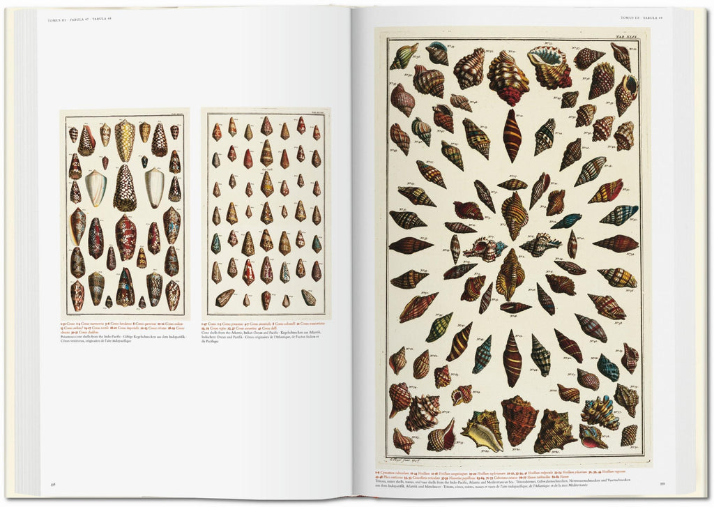 Cabinet of Natural Curiosities